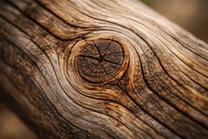 noeud-bois-detail-texture-couleurs