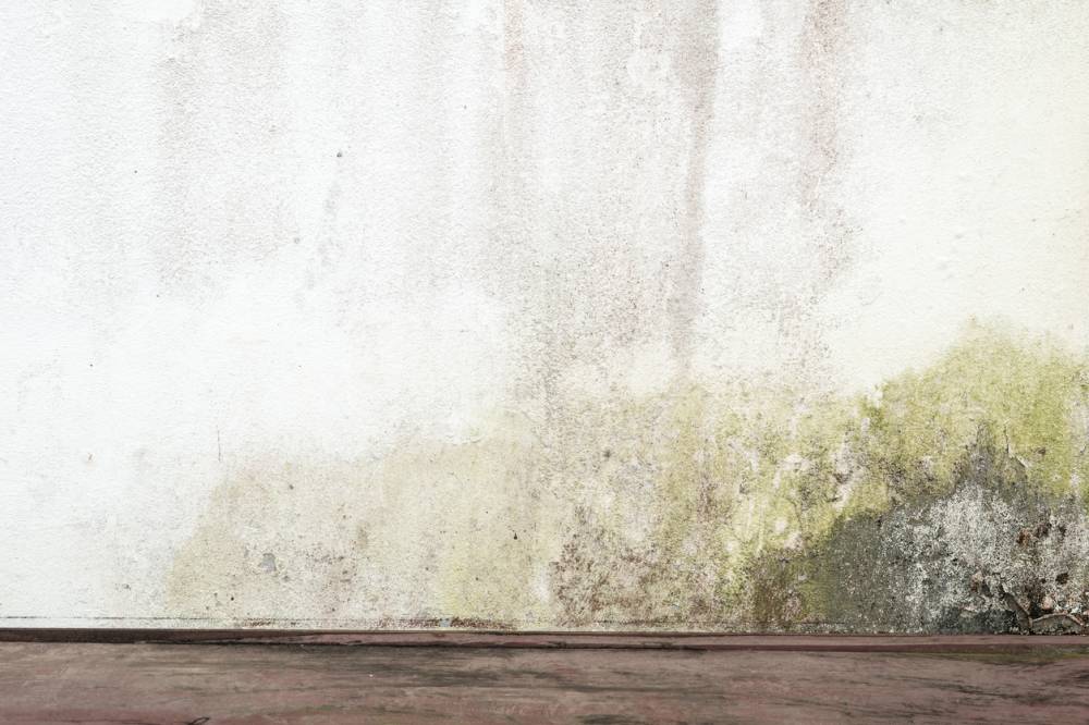 Taches d'humidité sur les murs : ce que leur couleur révèle