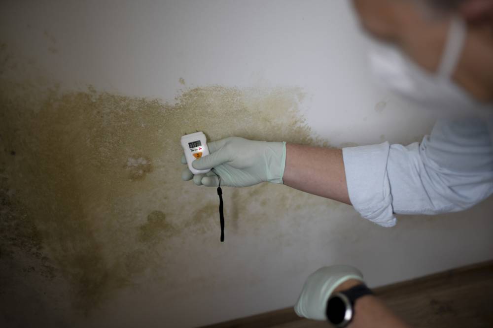 Taches d'humidité sur les murs : ce que leur couleur révèle