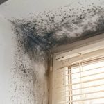 Taches d'humidité sur les murs : ce que leur couleur révèle