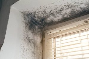 Taches d'humidité sur les murs : ce que leur couleur révèle